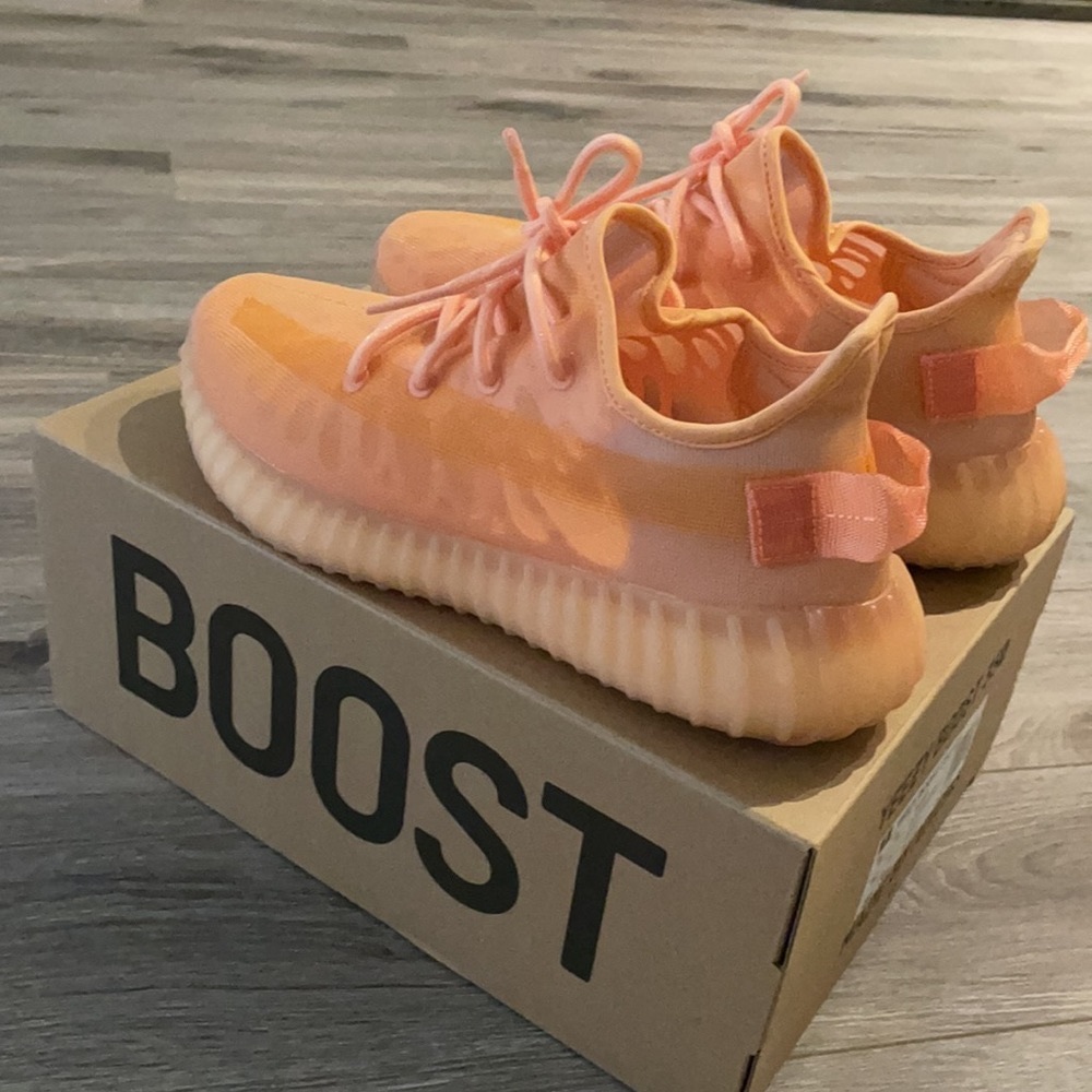Yeezy Boost 350 (Mono Clay)